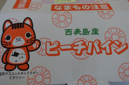 ふるさと納税_竹富_ピーチパイン_ゆたつか父さん