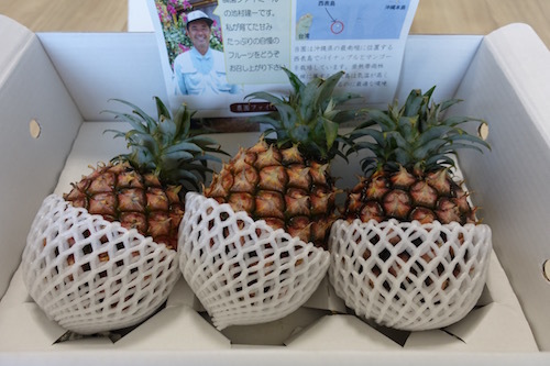 ふるさと納税_竹富_ピーチパイン_ゆたつか父さん