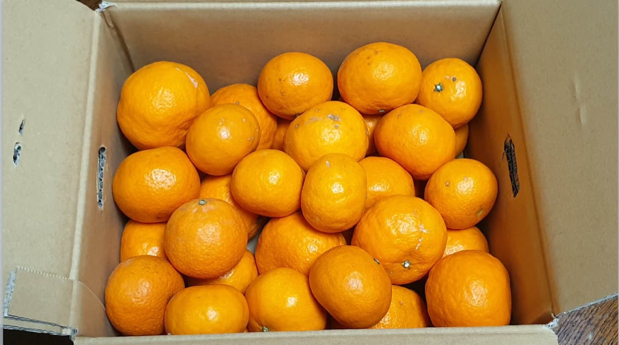 カラマンダリンオレンジ