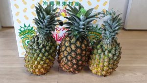 東村産パインアップルお任せセット1