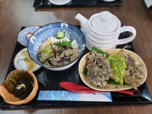 うんぎゃる丼