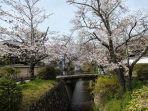 哲学の道